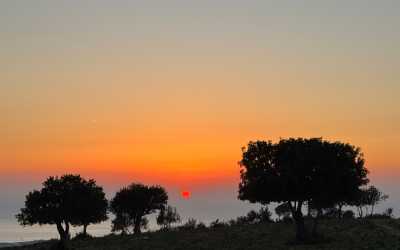 Wycieczka fakultatywna, Wycieczka Marathon Jeep Safari - Narodowy Park Akamas z Protaras