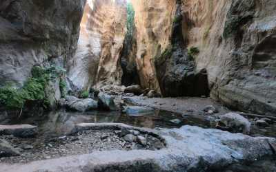 Wycieczka fakultatywna, Wycieczka Akamas Tour z Larnaki