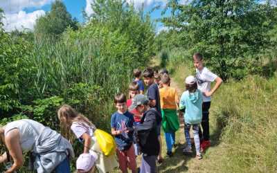 Obóz młodzieżowy, Julinek - kolonia Młody Przyrodnik B&B Julinek Park, 7 dni 7-11 lat